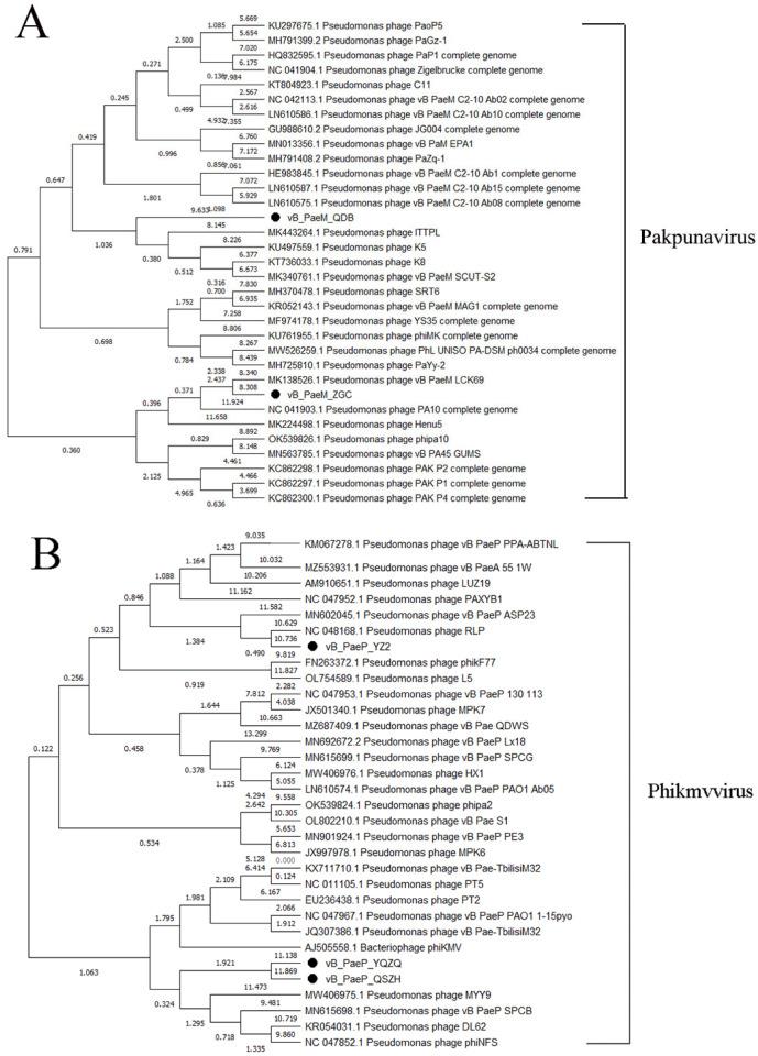 https://cdn.ncbi.nlm.nih.gov/pmc/blobs/fc10/12298563/6594a1b02033/microorganisms-13-01587-g006.jpg