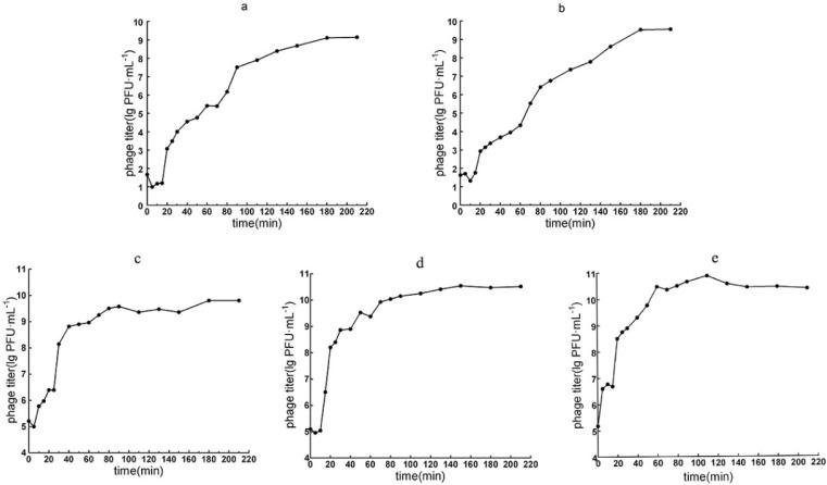 https://cdn.ncbi.nlm.nih.gov/pmc/blobs/fc10/12298563/c78323a7b794/microorganisms-13-01587-g002.jpg