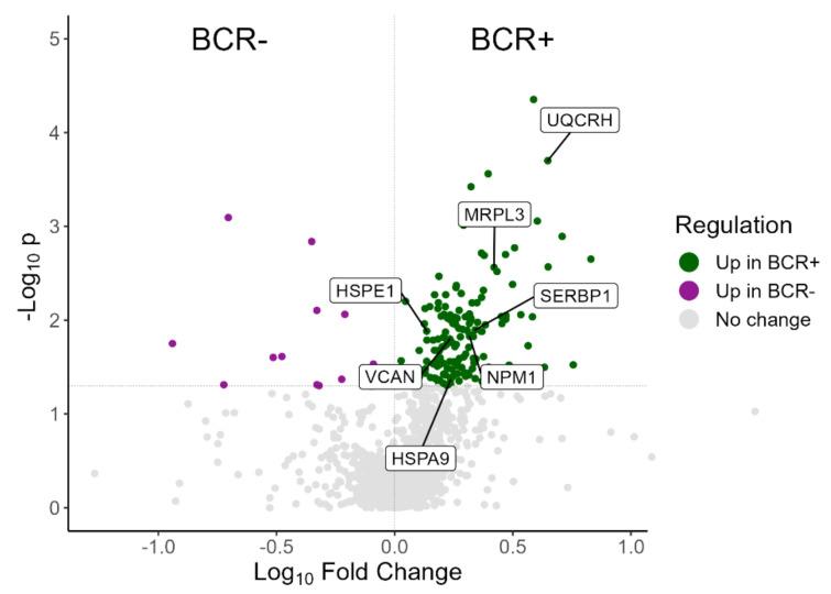 https://cdn.ncbi.nlm.nih.gov/pmc/blobs/fc11/9367334/e47251ec5e20/cancers-14-03765-g001.jpg