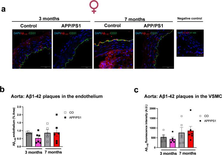 https://cdn.ncbi.nlm.nih.gov/pmc/blobs/fc12/11493946/bcc226f1ce24/11357_2024_1213_Fig8_HTML.jpg