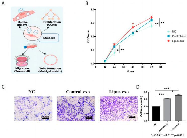 https://cdn.ncbi.nlm.nih.gov/pmc/blobs/fc14/11430381/3587ab5170b8/biomolecules-14-01154-g003.jpg