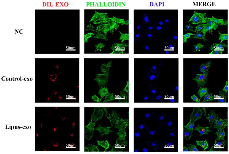 https://cdn.ncbi.nlm.nih.gov/pmc/blobs/fc14/11430381/beecb76f7ee2/biomolecules-14-01154-g002.jpg