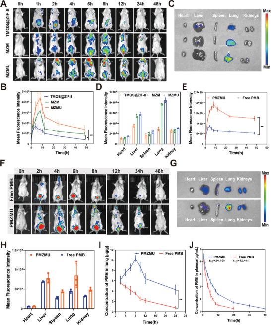 https://cdn.ncbi.nlm.nih.gov/pmc/blobs/fc16/11434100/d8494ca04ca6/ADVS-11-2402473-g005.jpg