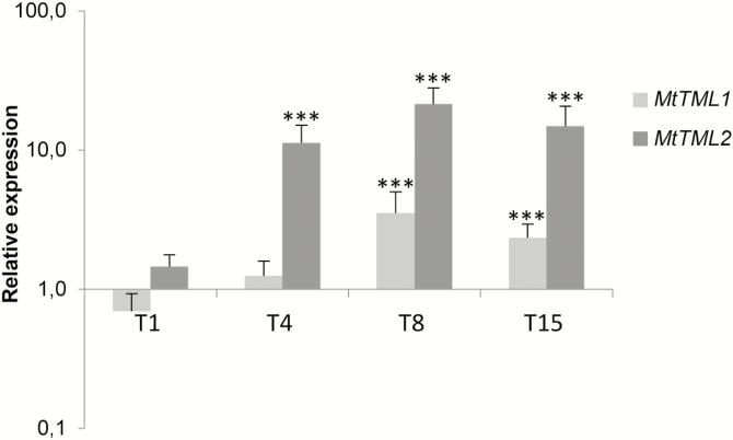 https://cdn.ncbi.nlm.nih.gov/pmc/blobs/fc19/6382332/5147c390585c/exbotj_ery465_f0005.jpg