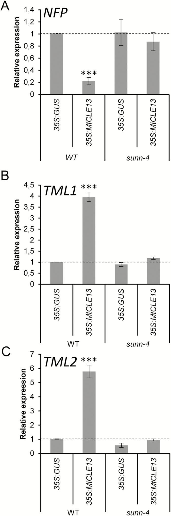 https://cdn.ncbi.nlm.nih.gov/pmc/blobs/fc19/6382332/9527c072b163/exbotj_ery465_f0003.jpg