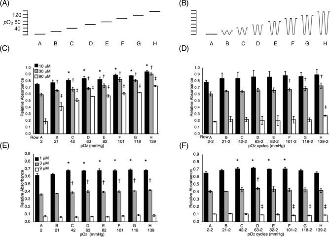 https://cdn.ncbi.nlm.nih.gov/pmc/blobs/fc1a/7890056/a828f242b8a4/41598_2021_83579_Fig4_HTML.jpg
