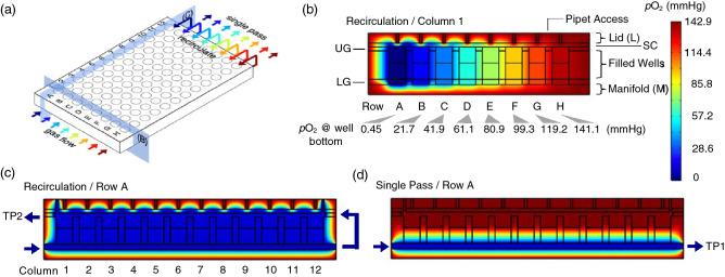 https://cdn.ncbi.nlm.nih.gov/pmc/blobs/fc1a/7890056/ba5fd08d7b73/41598_2021_83579_Fig1_HTML.jpg