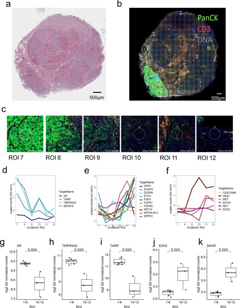 https://cdn.ncbi.nlm.nih.gov/pmc/blobs/fc1a/7930198/218ae605a9b5/41467_2021_21615_Fig5_HTML.jpg