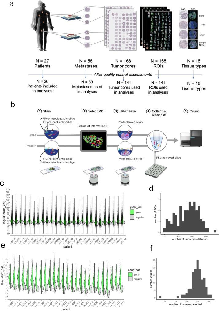 https://cdn.ncbi.nlm.nih.gov/pmc/blobs/fc1a/7930198/4068592020fa/41467_2021_21615_Fig1_HTML.jpg