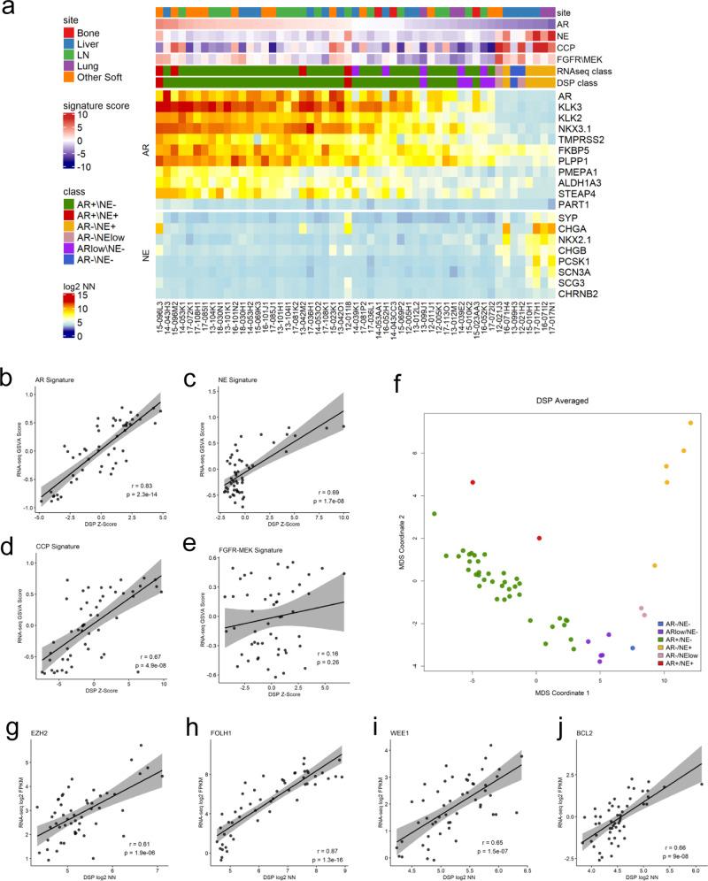 https://cdn.ncbi.nlm.nih.gov/pmc/blobs/fc1a/7930198/92c8bb4eb728/41467_2021_21615_Fig2_HTML.jpg
