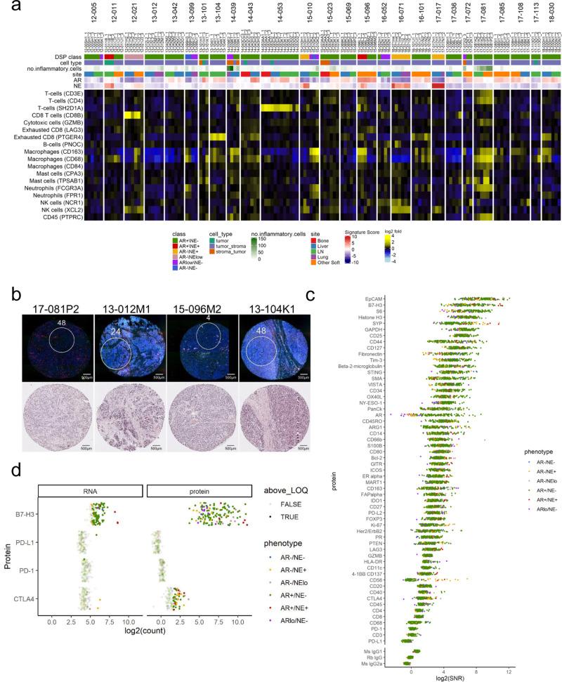 https://cdn.ncbi.nlm.nih.gov/pmc/blobs/fc1a/7930198/ca3da704d13e/41467_2021_21615_Fig7_HTML.jpg