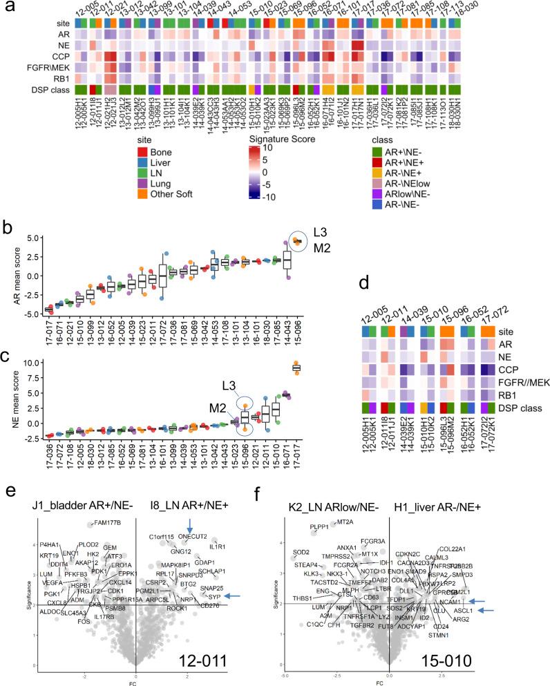 https://cdn.ncbi.nlm.nih.gov/pmc/blobs/fc1a/7930198/ddcbc384102f/41467_2021_21615_Fig3_HTML.jpg