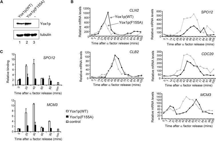 https://cdn.ncbi.nlm.nih.gov/pmc/blobs/fc1c/3566586/ee188acb11f5/gr4.jpg