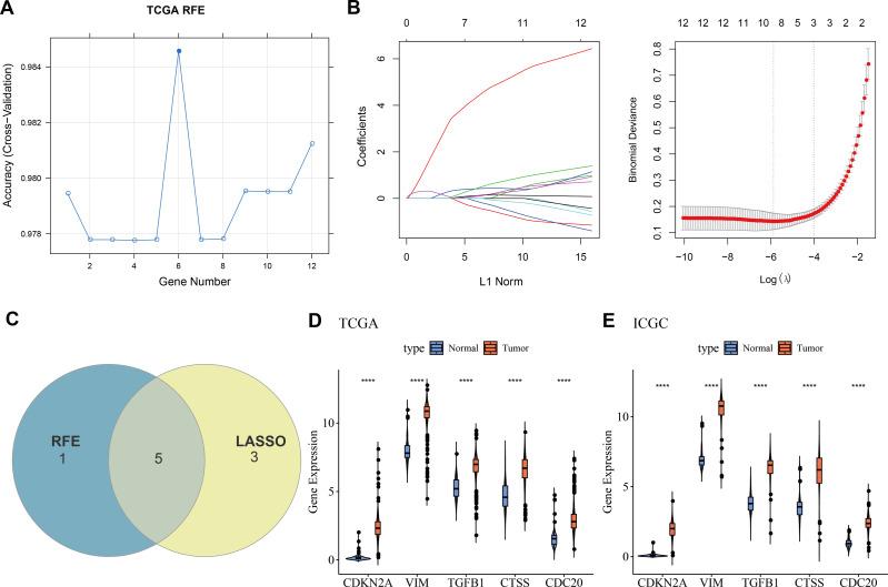 https://cdn.ncbi.nlm.nih.gov/pmc/blobs/fc1d/12009028/c0e5a54dfa76/peerj-13-19246-g002.jpg