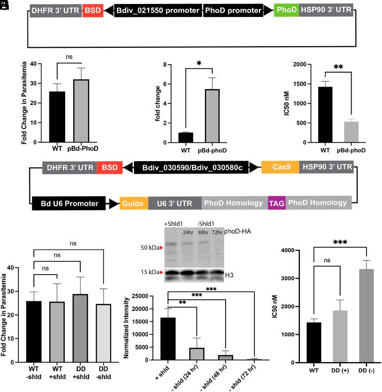 https://cdn.ncbi.nlm.nih.gov/pmc/blobs/fc21/10907312/941ccf996d4c/pnas.2312987121fig04.jpg