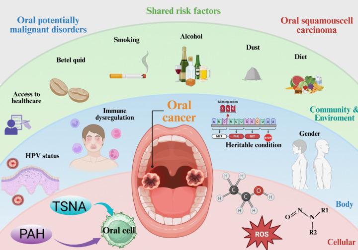 https://cdn.ncbi.nlm.nih.gov/pmc/blobs/fc21/12162747/b5a5e9aadbea/10565_2025_10048_Fig1_HTML.jpg
