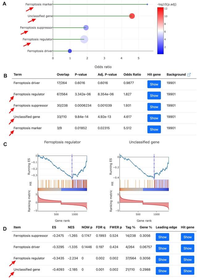 https://cdn.ncbi.nlm.nih.gov/pmc/blobs/fc21/9825716/2443ba8add41/gkac935fig5.jpg