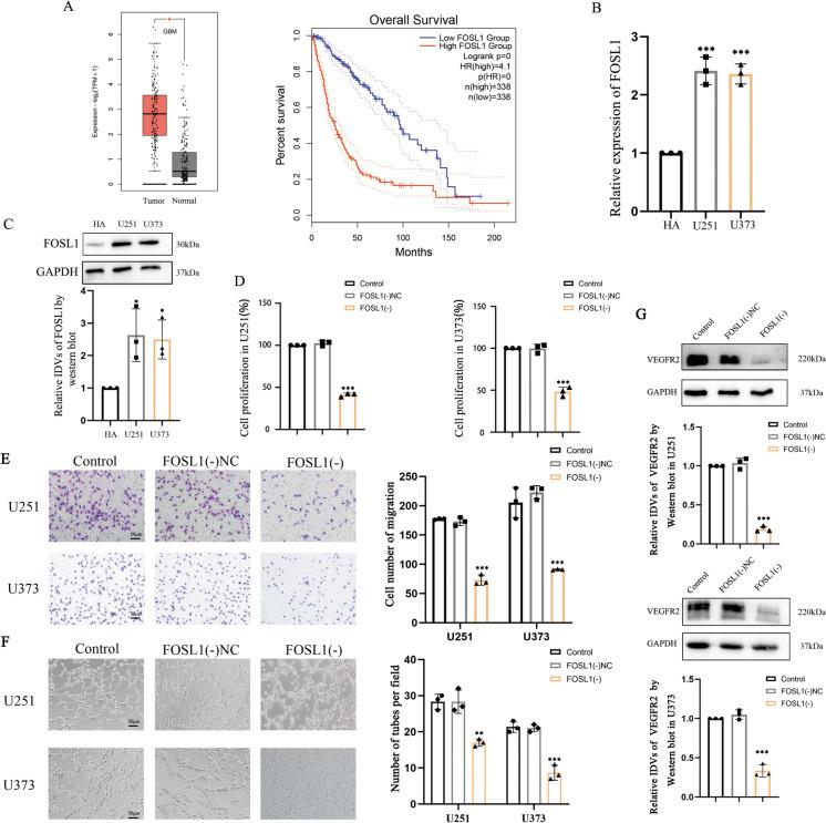 https://cdn.ncbi.nlm.nih.gov/pmc/blobs/fc22/11166796/9ec02daf88c5/10565_2024_9890_Fig2_HTML.jpg