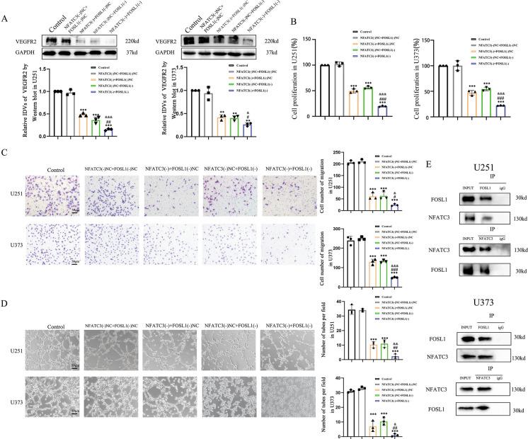 https://cdn.ncbi.nlm.nih.gov/pmc/blobs/fc22/11166796/d22553515c44/10565_2024_9890_Fig4_HTML.jpg