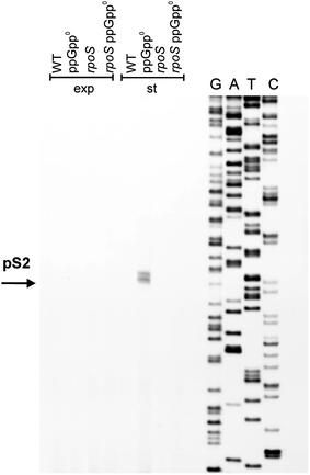 https://cdn.ncbi.nlm.nih.gov/pmc/blobs/fc22/2939334/343c38696161/438_2010_567_Fig10_HTML.jpg