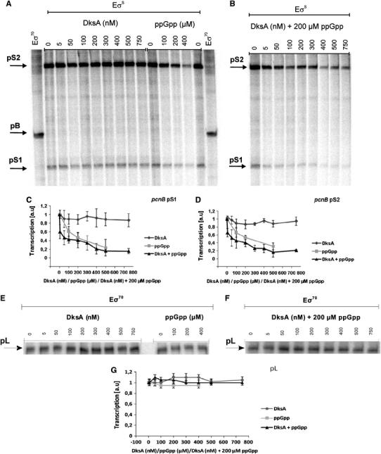 https://cdn.ncbi.nlm.nih.gov/pmc/blobs/fc22/2939334/6b80f6f5d713/438_2010_567_Fig12_HTML.jpg