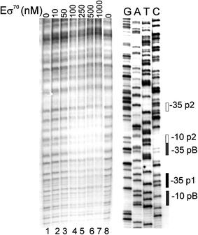 https://cdn.ncbi.nlm.nih.gov/pmc/blobs/fc22/2939334/f505744d5e95/438_2010_567_Fig6_HTML.jpg