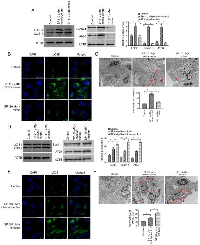 https://cdn.ncbi.nlm.nih.gov/pmc/blobs/fc22/9434988/e3d595f4ab83/mmr-26-04-12813-g03.jpg