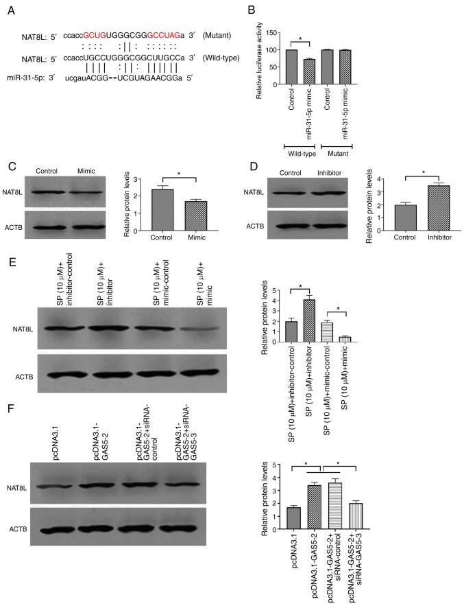 https://cdn.ncbi.nlm.nih.gov/pmc/blobs/fc22/9434988/fd8ba830761a/mmr-26-04-12813-g04.jpg