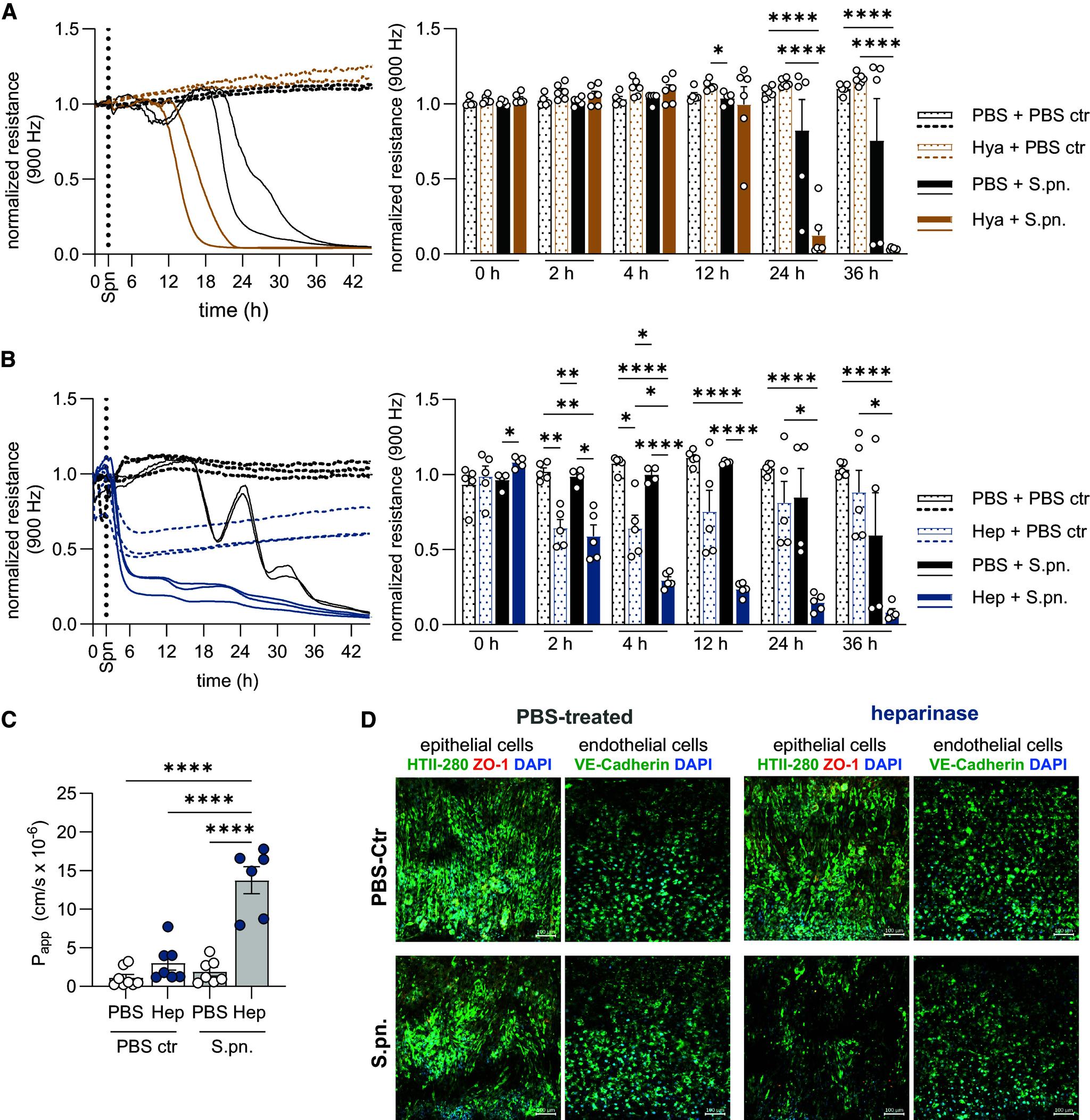 https://cdn.ncbi.nlm.nih.gov/pmc/blobs/fc23/11622634/17fdc8970cf6/rcmb.2024-0003OCf7.jpg