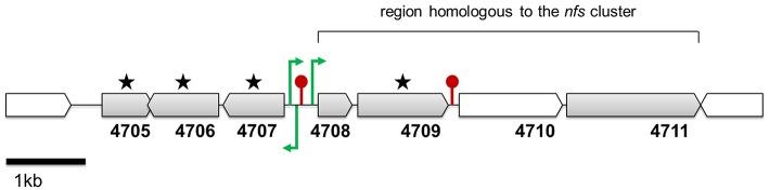 https://cdn.ncbi.nlm.nih.gov/pmc/blobs/fc25/4880745/3b5509e84af0/fmicb-07-00782-g0004.jpg