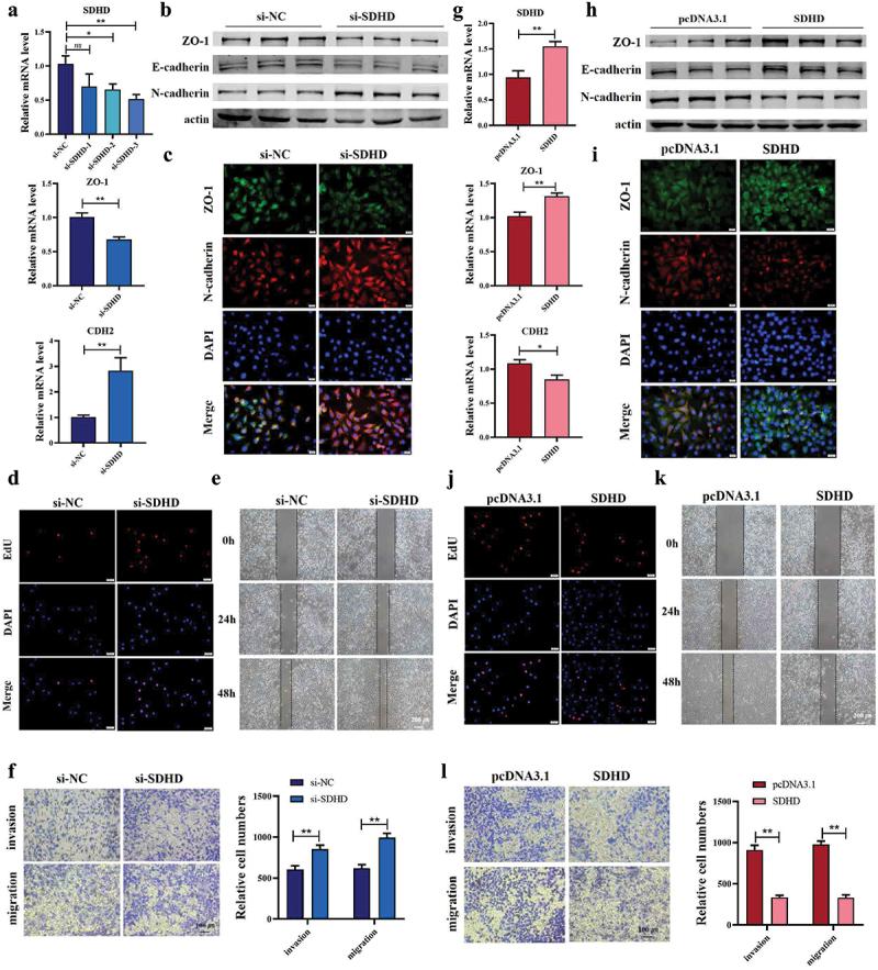 https://cdn.ncbi.nlm.nih.gov/pmc/blobs/fc26/10730166/72536f3c3372/KCCY_A_2281816_F0004_C.jpg