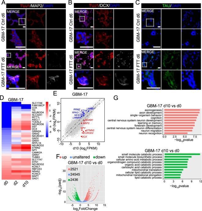 https://cdn.ncbi.nlm.nih.gov/pmc/blobs/fc27/6401026/0407db3065f7/41598_2019_39852_Fig2_HTML.jpg