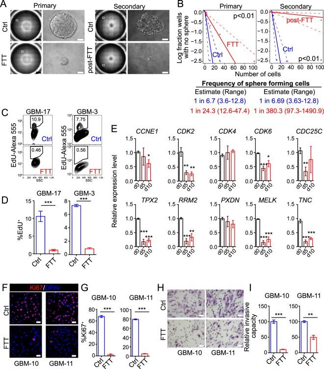 https://cdn.ncbi.nlm.nih.gov/pmc/blobs/fc27/6401026/8bcf9598db8e/41598_2019_39852_Fig3_HTML.jpg