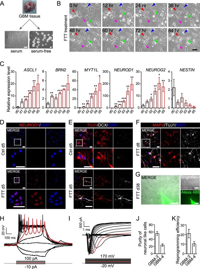 https://cdn.ncbi.nlm.nih.gov/pmc/blobs/fc27/6401026/9c5672e9e393/41598_2019_39852_Fig1_HTML.jpg