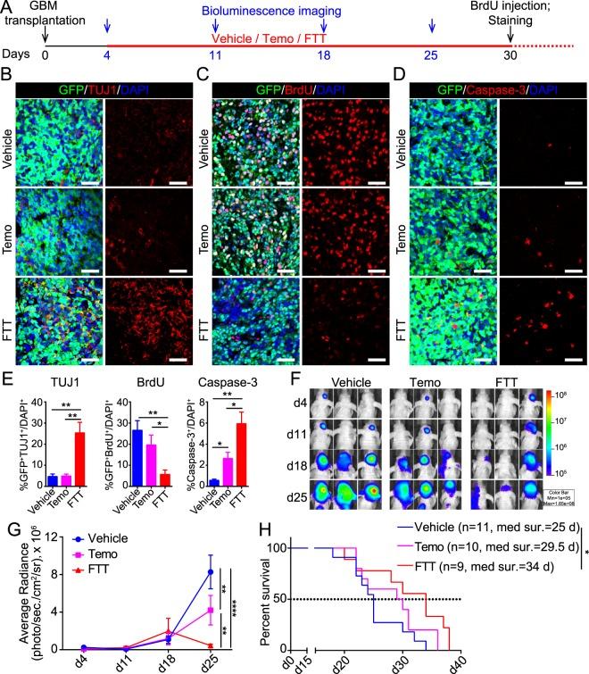 https://cdn.ncbi.nlm.nih.gov/pmc/blobs/fc27/6401026/a434a790b385/41598_2019_39852_Fig4_HTML.jpg