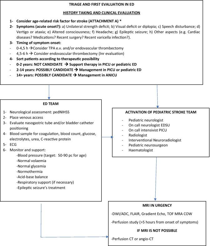 https://cdn.ncbi.nlm.nih.gov/pmc/blobs/fc29/8760225/05eb8be2888c/431_2021_4212_Fig1_HTML.jpg