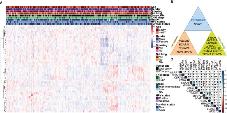 https://cdn.ncbi.nlm.nih.gov/pmc/blobs/fc29/9872116/17e6dbcaea27/fimmu-13-1100417-g001.jpg