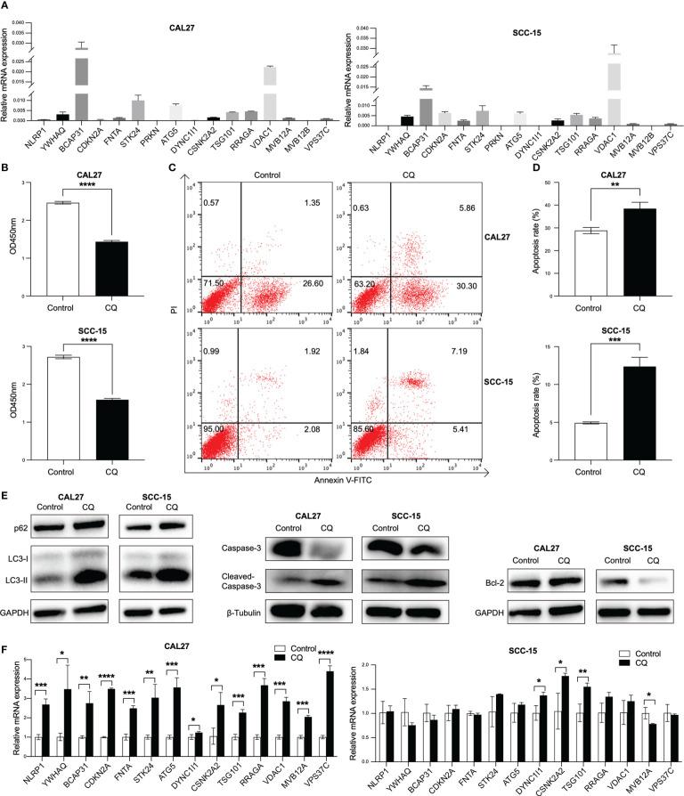 https://cdn.ncbi.nlm.nih.gov/pmc/blobs/fc29/9872116/895800c49da0/fimmu-13-1100417-g006.jpg