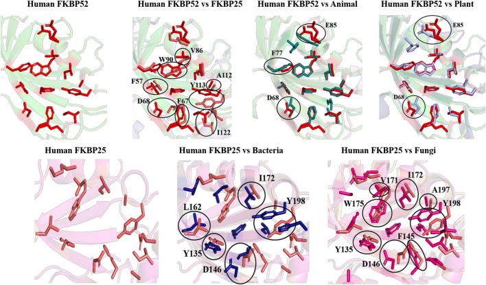 https://cdn.ncbi.nlm.nih.gov/pmc/blobs/fc2a/8530231/2da6d488e195/fmicb-12-751049-g010.jpg