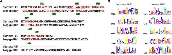 https://cdn.ncbi.nlm.nih.gov/pmc/blobs/fc2a/8530231/8cbbe51e3310/fmicb-12-751049-g008.jpg