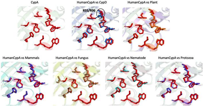 https://cdn.ncbi.nlm.nih.gov/pmc/blobs/fc2a/8530231/ab09acd7e693/fmicb-12-751049-g007.jpg