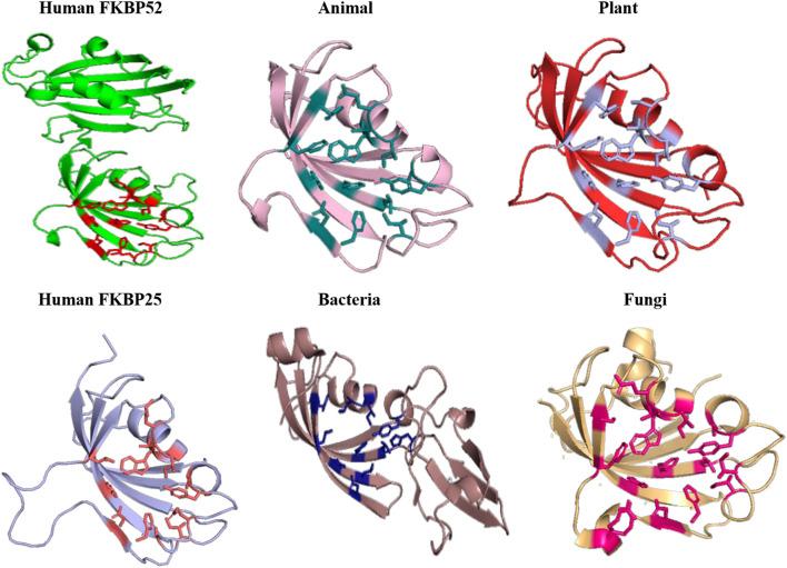 https://cdn.ncbi.nlm.nih.gov/pmc/blobs/fc2a/8530231/b1450c44de44/fmicb-12-751049-g011.jpg
