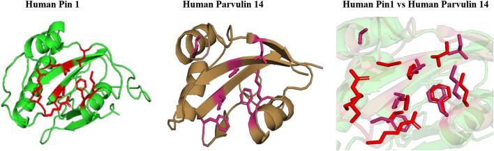 https://cdn.ncbi.nlm.nih.gov/pmc/blobs/fc2a/8530231/d62186c6d328/fmicb-12-751049-g014.jpg