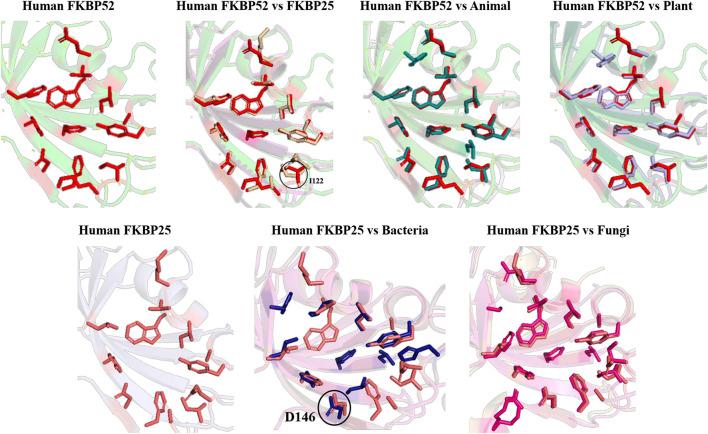 https://cdn.ncbi.nlm.nih.gov/pmc/blobs/fc2a/8530231/fdc8cb80945c/fmicb-12-751049-g012.jpg