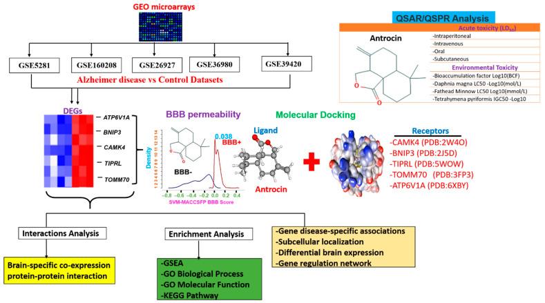 https://cdn.ncbi.nlm.nih.gov/pmc/blobs/fc2a/8539161/38cebe78dd5f/pharmaceutics-13-01555-g001.jpg