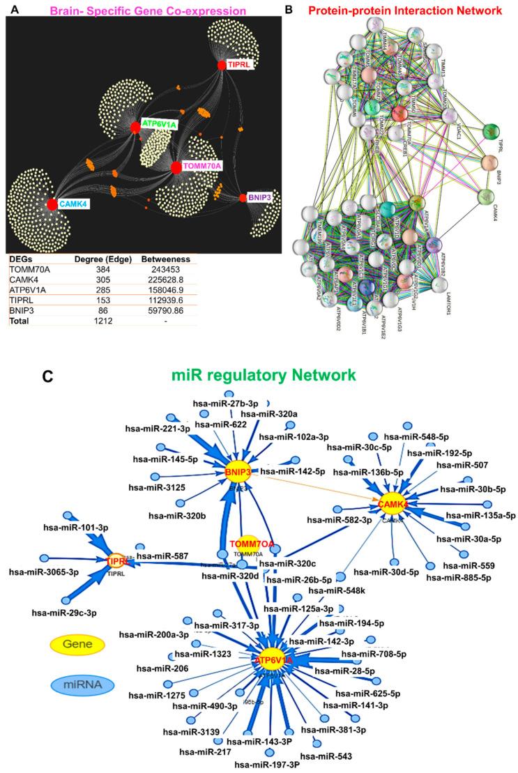 https://cdn.ncbi.nlm.nih.gov/pmc/blobs/fc2a/8539161/faa53c0ddc97/pharmaceutics-13-01555-g004.jpg