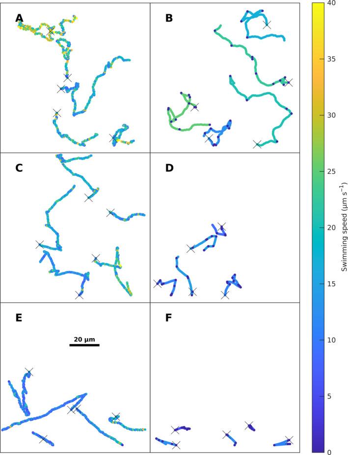 https://cdn.ncbi.nlm.nih.gov/pmc/blobs/fc2c/11659635/53f8819746c9/EMI-26-e70021-g014.jpg
