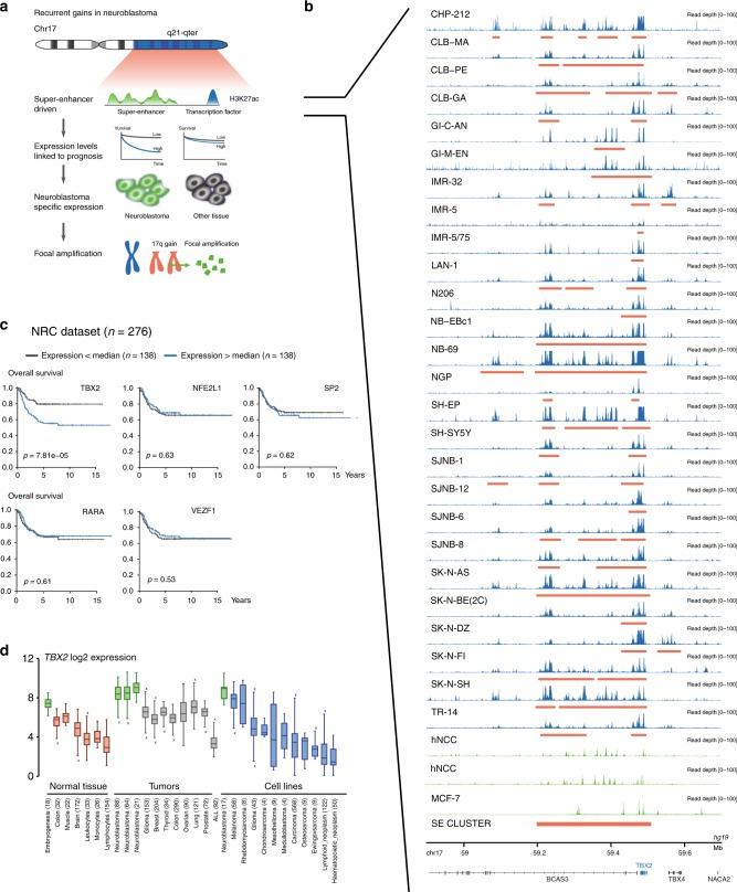 https://cdn.ncbi.nlm.nih.gov/pmc/blobs/fc2e/6242972/515a4d222c37/41467_2018_6699_Fig1_HTML.jpg
