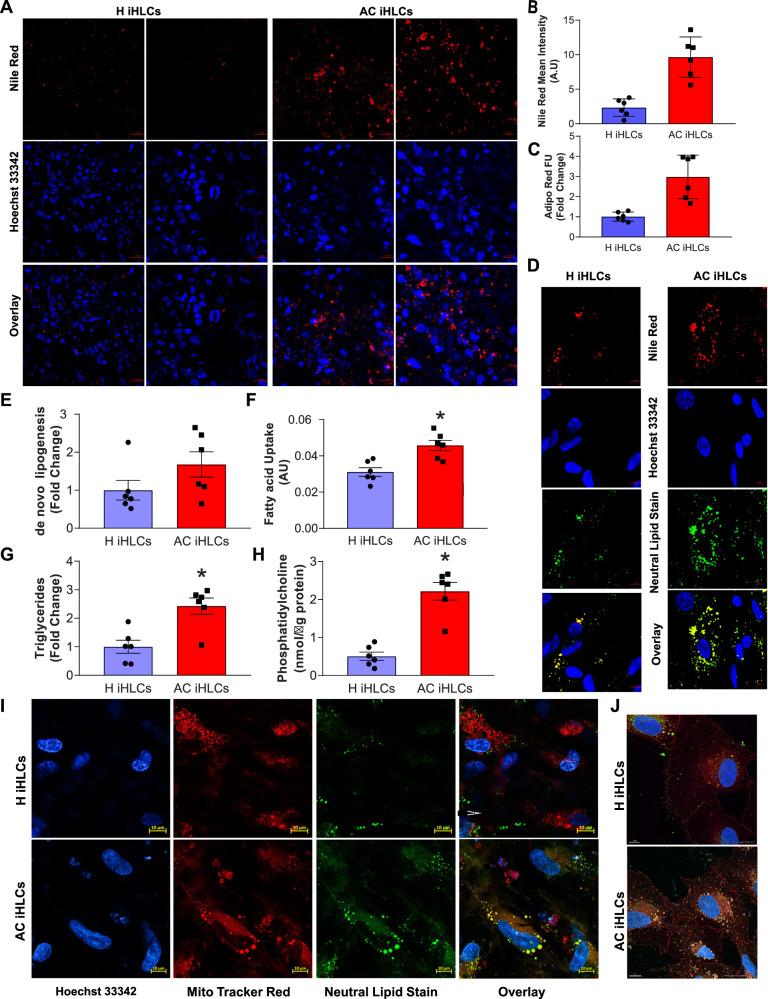 https://cdn.ncbi.nlm.nih.gov/pmc/blobs/fc2f/11063145/9a1bc795dd8b/41467_2024_47085_Fig2_HTML.jpg