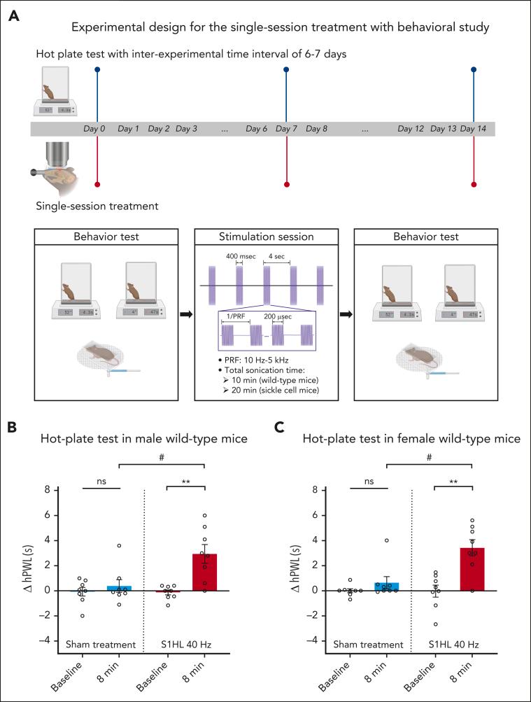 https://cdn.ncbi.nlm.nih.gov/pmc/blobs/fc30/11406192/cac966cc2bd4/BLOOD_BLD-2023-023718-gr3ac.jpg